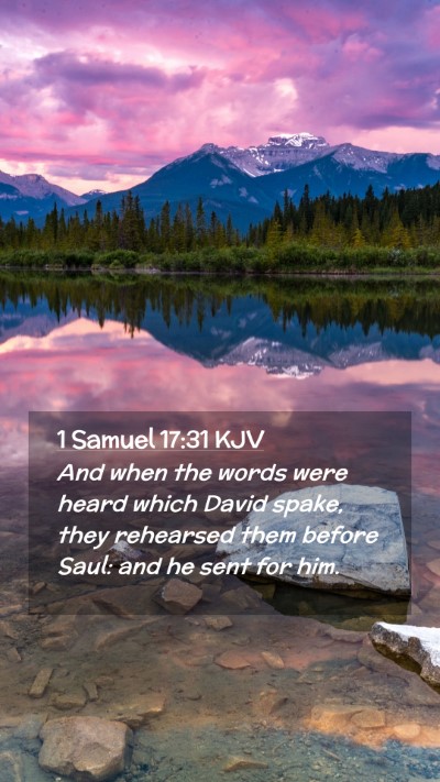 Picture 02 - 1 Samuel 17:31 KJV Mobile Phone Wallpaper - And when the words were heard which David spake, - Mobile Bible Verse Wallpaper