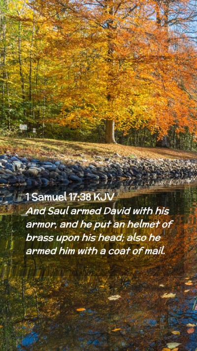 Picture 02 - 1 Samuel 17:38 KJV Mobile Phone Wallpaper - And Saul armed David with his armor, and he put - Mobile Bible Verse Wallpaper