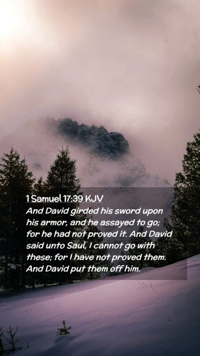 Picture 02 - 1 Samuel 17:39 KJV Mobile Phone Wallpaper - And David girded his sword upon his armor, and he - Mobile Bible Verse Wallpaper