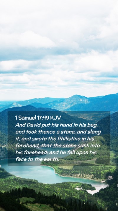 Picture 02 - 1 Samuel 17:49 KJV Mobile Phone Wallpaper - And David put his hand in his bag, and took - Mobile Bible Verse Wallpaper