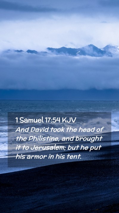 Picture 02 - 1 Samuel 17:54 KJV Mobile Phone Wallpaper - And David took the head of the Philistine, and - Mobile Bible Verse Wallpaper