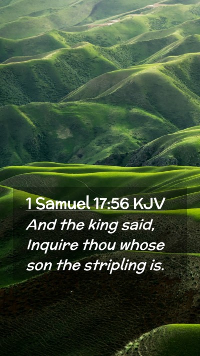 Picture 02 - 1 Samuel 17:56 KJV Mobile Phone Wallpaper - And the king said, Inquire thou whose son the - Mobile Bible Verse Wallpaper