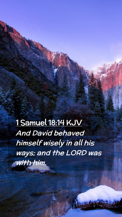 Picture 02 - 1 Samuel 18:14 KJV Mobile Phone Wallpaper - And David behaved himself wisely in all his ways; - Mobile Bible Verse Wallpaper