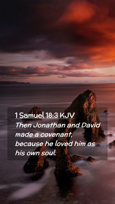 Picture 02 - 1 Samuel 18:3 KJV Mobile Phone Wallpaper - Then Jonathan and David made a covenant, because - Mobile Bible Verse Wallpaper