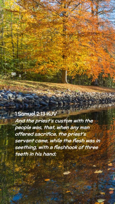 Picture 02 - 1 Samuel 2:13 KJV Mobile Phone Wallpaper - And the priest's custom with the people was, - Mobile Bible Verse Wallpaper