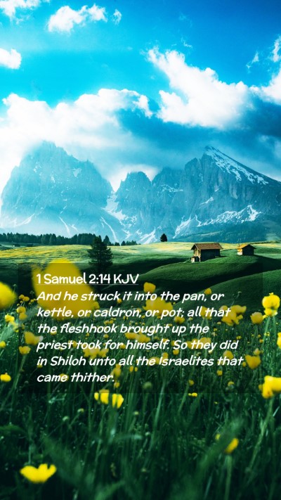 Picture 02 - 1 Samuel 2:14 KJV Mobile Phone Wallpaper - And he struck it into the pan, or kettle, or - Mobile Bible Verse Wallpaper