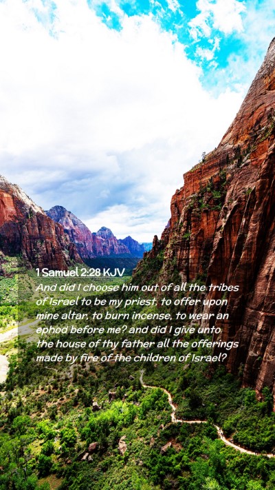 Picture 02 - 1 Samuel 2:28 KJV Mobile Phone Wallpaper - And did I choose him out of all the tribes of - Mobile Bible Verse Wallpaper