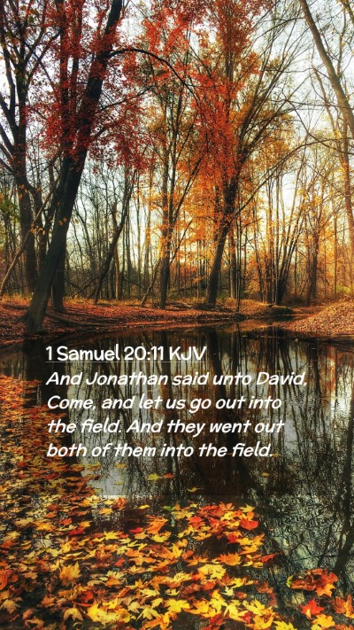 Picture 02 - 1 Samuel 20:11 KJV Mobile Phone Wallpaper - And Jonathan said unto David, Come, and let us go - Mobile Bible Verse Wallpaper