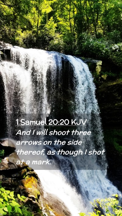 Picture 02 - 1 Samuel 20:20 KJV Mobile Phone Wallpaper - And I will shoot three arrows on the side - Mobile Bible Verse Wallpaper