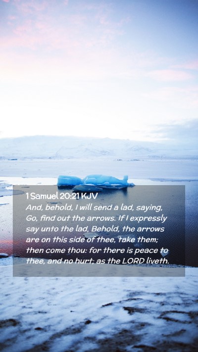 Picture 02 - 1 Samuel 20:21 KJV Mobile Phone Wallpaper - And, behold, I will send a lad, saying, Go, find - Mobile Bible Verse Wallpaper