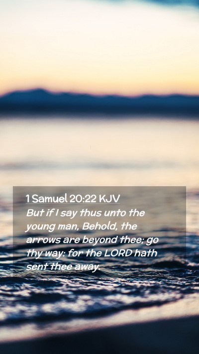 Picture 02 - 1 Samuel 20:22 KJV Mobile Phone Wallpaper - But if I say thus unto the young man, Behold, the - Mobile Bible Verse Wallpaper