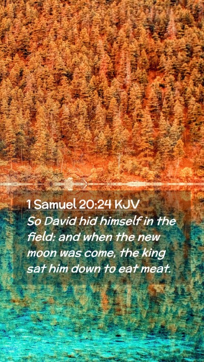 Picture 02 - 1 Samuel 20:24 KJV Mobile Phone Wallpaper - So David hid himself in the field: and when the - Mobile Bible Verse Wallpaper