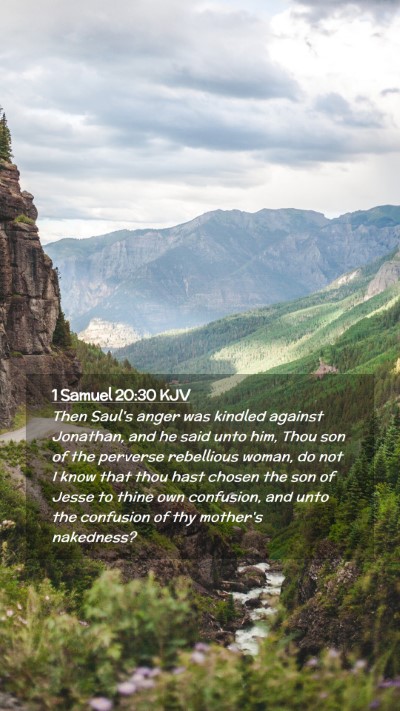 Picture 02 - 1 Samuel 20:30 KJV Mobile Phone Wallpaper - Then Saul's anger was kindled against Jonathan, - Mobile Bible Verse Wallpaper