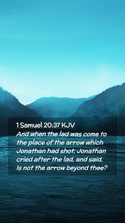 Picture 02 - 1 Samuel 20:37 KJV Mobile Phone Wallpaper - And when the lad was come to the place of the - Mobile Bible Verse Wallpaper