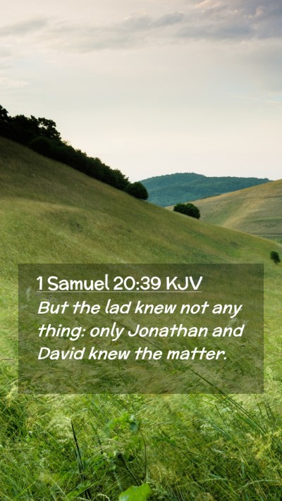 Picture 02 - 1 Samuel 20:39 KJV Mobile Phone Wallpaper - But the lad knew not any thing: only Jonathan and - Mobile Bible Verse Wallpaper