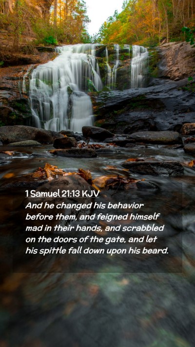 Picture 02 - 1 Samuel 21:13 KJV Mobile Phone Wallpaper - And he changed his behavior before them, and - Mobile Bible Verse Wallpaper