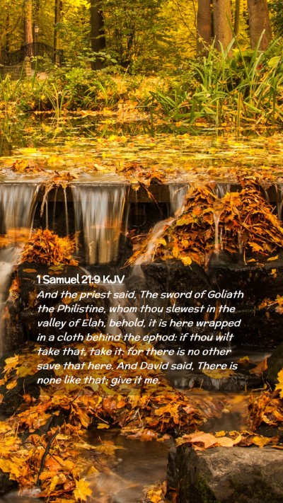 Picture 02 - 1 Samuel 21:9 KJV Mobile Phone Wallpaper - And the priest said, The sword of Goliath the - Mobile Bible Verse Wallpaper