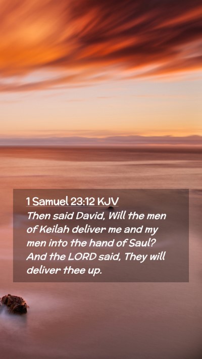 Picture 02 - 1 Samuel 23:12 KJV Mobile Phone Wallpaper - Then said David, Will the men of Keilah deliver - Mobile Bible Verse Wallpaper