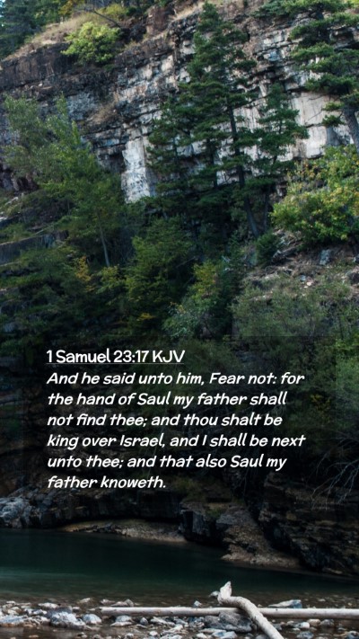 Picture 02 - 1 Samuel 23:17 KJV Mobile Phone Wallpaper - And he said unto him, Fear not: for the hand of - Mobile Bible Verse Wallpaper
