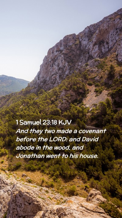 Picture 02 - 1 Samuel 23:18 KJV Mobile Phone Wallpaper - And they two made a covenant before the LORD: and - Mobile Bible Verse Wallpaper