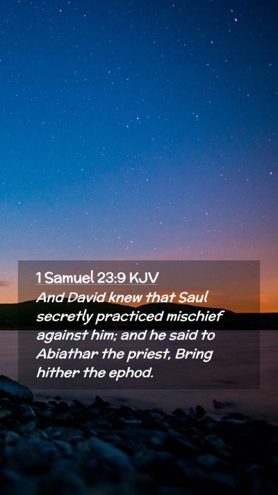 Picture 02 - 1 Samuel 23:9 KJV Mobile Phone Wallpaper - And David knew that Saul secretly practiced - Mobile Bible Verse Wallpaper