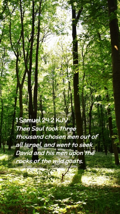Picture 02 - 1 Samuel 24:2 KJV Mobile Phone Wallpaper - Then Saul took three thousand chosen men out of - Mobile Bible Verse Wallpaper