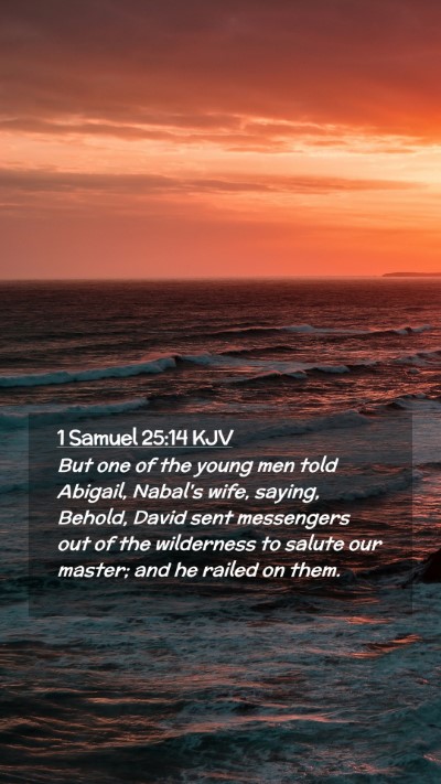 Picture 02 - 1 Samuel 25:14 KJV Mobile Phone Wallpaper - But one of the young men told Abigail, Nabal's - Mobile Bible Verse Wallpaper