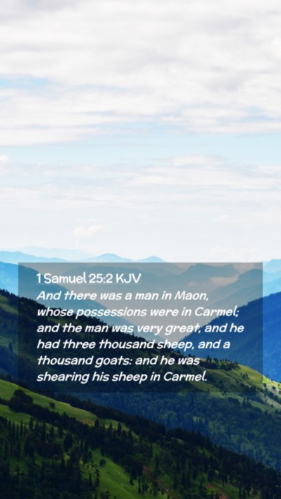 Picture 02 - 1 Samuel 25:2 KJV Mobile Phone Wallpaper - And there was a man in Maon, whose possessions - Mobile Bible Verse Wallpaper