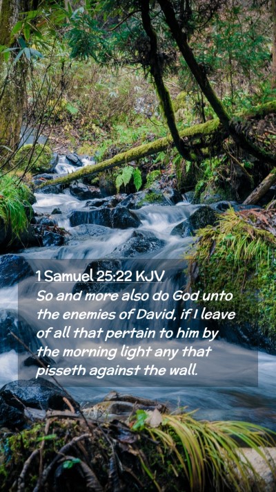 Picture 02 - 1 Samuel 25:22 KJV Mobile Phone Wallpaper - So and more also do God unto the enemies of - Mobile Bible Verse Wallpaper