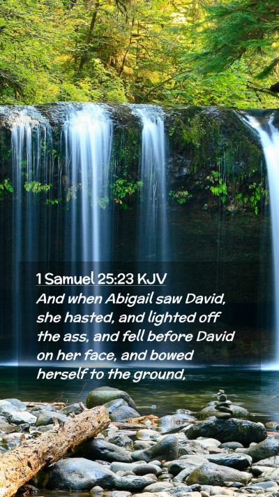 Picture 02 - 1 Samuel 25:23 KJV Mobile Phone Wallpaper - And when Abigail saw David, she hasted, and - Mobile Bible Verse Wallpaper