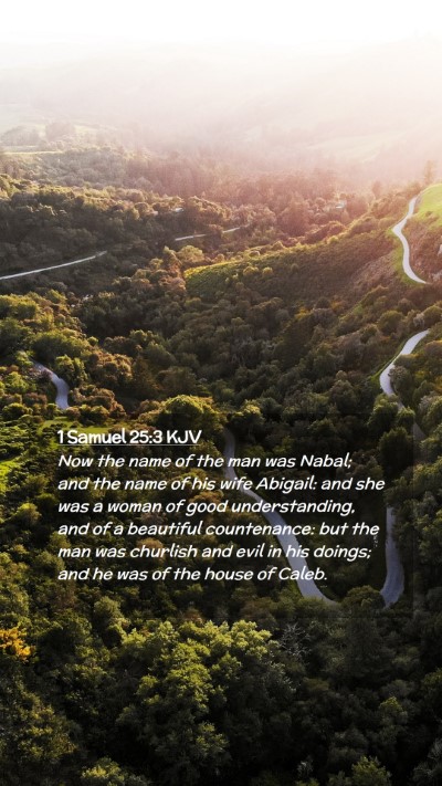 Picture 02 - 1 Samuel 25:3 KJV Mobile Phone Wallpaper - Now the name of the man was Nabal; and the name - Mobile Bible Verse Wallpaper