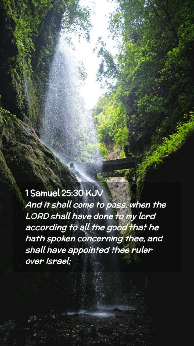 Picture 02 - 1 Samuel 25:30 KJV Mobile Phone Wallpaper - And it shall come to pass, when the LORD shall - Mobile Bible Verse Wallpaper