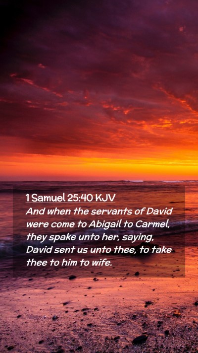 Picture 02 - 1 Samuel 25:40 KJV Mobile Phone Wallpaper - And when the servants of David were come to - Mobile Bible Verse Wallpaper