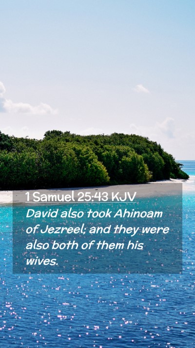 Picture 02 - 1 Samuel 25:43 KJV Mobile Phone Wallpaper - David also took Ahinoam of Jezreel; and they were - Mobile Bible Verse Wallpaper