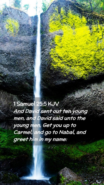 Picture 02 - 1 Samuel 25:5 KJV Mobile Phone Wallpaper - And David sent out ten young men, and David said - Mobile Bible Verse Wallpaper