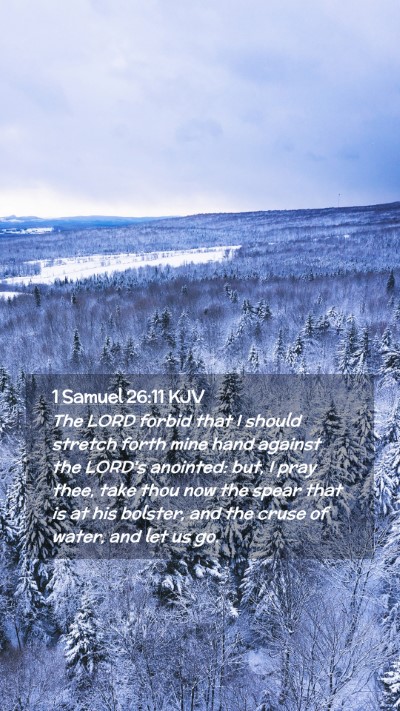 Picture 02 - 1 Samuel 26:11 KJV Mobile Phone Wallpaper - The LORD forbid that I should stretch forth mine - Mobile Bible Verse Wallpaper