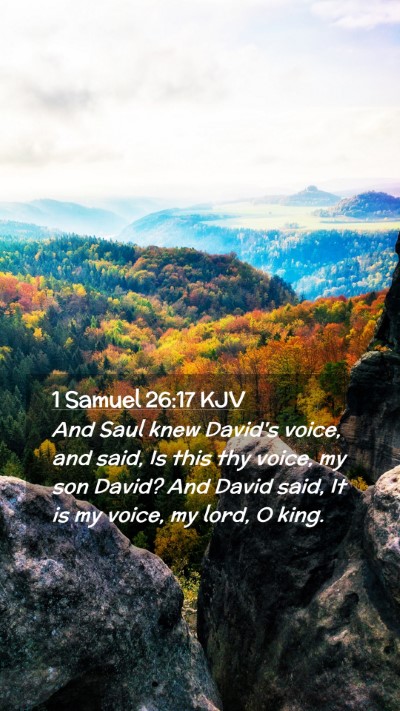 Picture 02 - 1 Samuel 26:17 KJV Mobile Phone Wallpaper - And Saul knew David's voice, and said, Is this - Mobile Bible Verse Wallpaper