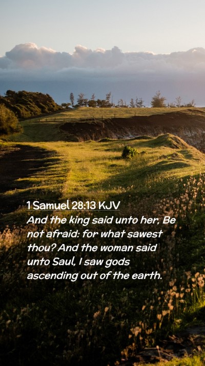Picture 02 - 1 Samuel 28:13 KJV Mobile Phone Wallpaper - And the king said unto her, Be not afraid: for - Mobile Bible Verse Wallpaper