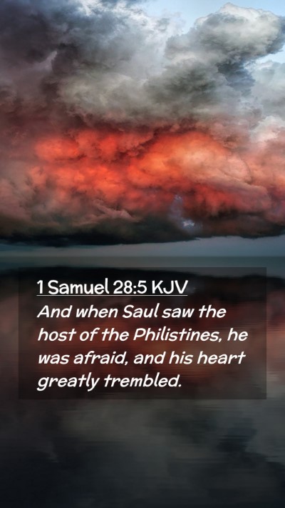 Picture 02 - 1 Samuel 28:5 KJV Mobile Phone Wallpaper - And when Saul saw the host of the Philistines, he - Mobile Bible Verse Wallpaper