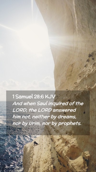 Picture 02 - 1 Samuel 28:6 KJV Mobile Phone Wallpaper - And when Saul inquired of the LORD, the LORD - Mobile Bible Verse Wallpaper