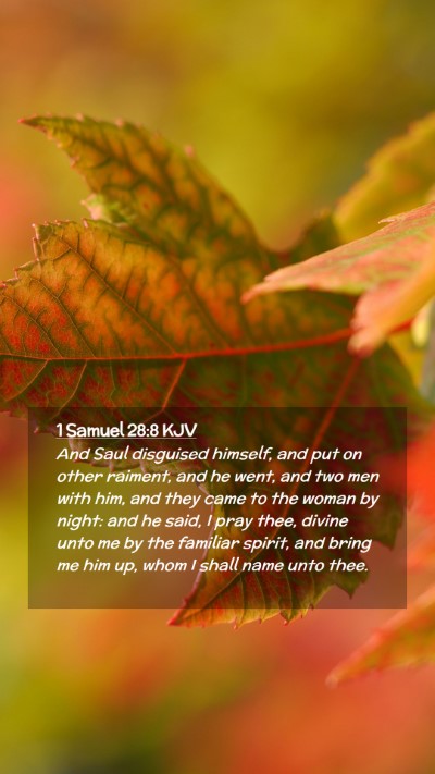 Picture 02 - 1 Samuel 28:8 KJV Mobile Phone Wallpaper - And Saul disguised himself, and put on other - Mobile Bible Verse Wallpaper
