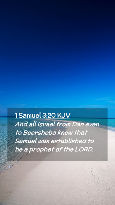 Picture 02 - 1 Samuel 3:20 KJV Mobile Phone Wallpaper - And all Israel from Dan even to Beersheba knew - Mobile Bible Verse Wallpaper