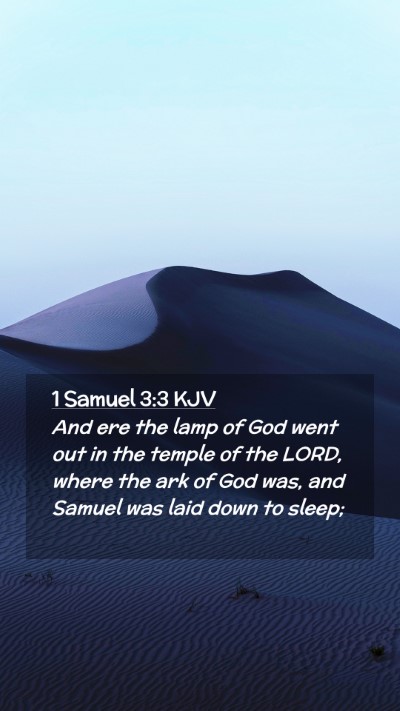 Picture 02 - 1 Samuel 3:3 KJV Mobile Phone Wallpaper - And ere the lamp of God went out in the temple of - Mobile Bible Verse Wallpaper
