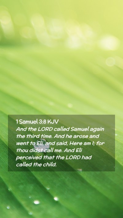 Picture 02 - 1 Samuel 3:8 KJV Mobile Phone Wallpaper - And the LORD called Samuel again the third time. - Mobile Bible Verse Wallpaper