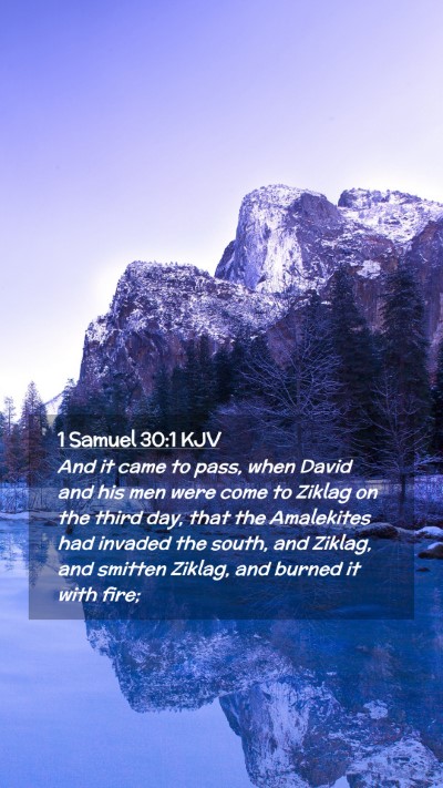 Picture 02 - 1 Samuel 30:1 KJV Mobile Phone Wallpaper - And it came to pass, when David and his men were - Mobile Bible Verse Wallpaper