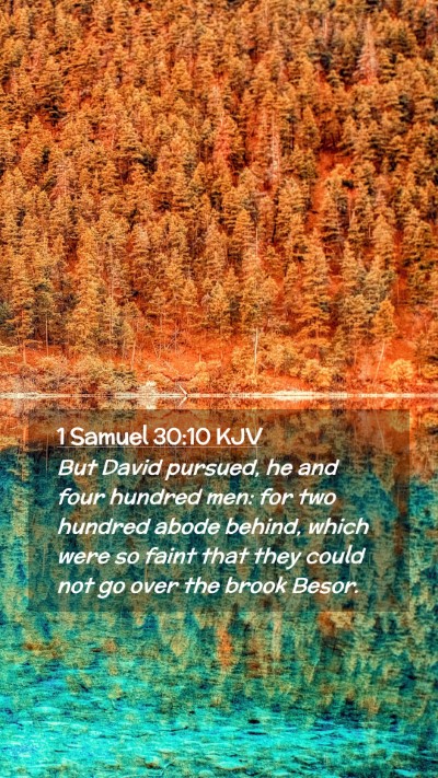 Picture 02 - 1 Samuel 30:10 KJV Mobile Phone Wallpaper - But David pursued, he and four hundred men: for - Mobile Bible Verse Wallpaper