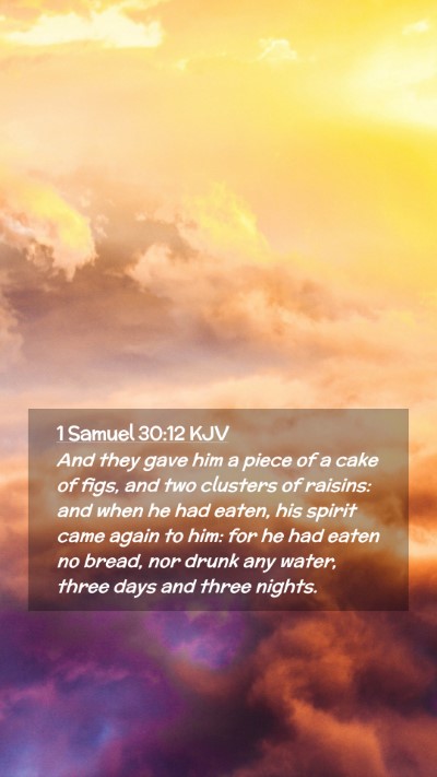 Picture 02 - 1 Samuel 30:12 KJV Mobile Phone Wallpaper - And they gave him a piece of a cake of figs, and - Mobile Bible Verse Wallpaper