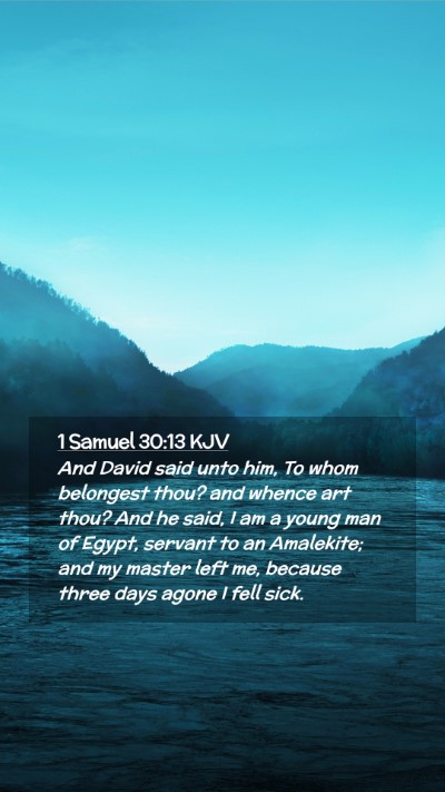 Picture 02 - 1 Samuel 30:13 KJV Mobile Phone Wallpaper - And David said unto him, To whom belongest thou? - Mobile Bible Verse Wallpaper