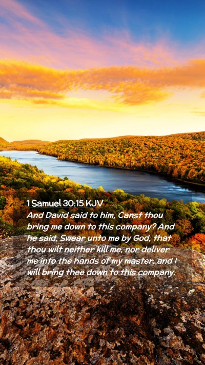 Picture 02 - 1 Samuel 30:15 KJV Mobile Phone Wallpaper - And David said to him, Canst thou bring me down - Mobile Bible Verse Wallpaper