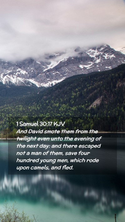 Picture 02 - 1 Samuel 30:17 KJV Mobile Phone Wallpaper - And David smote them from the twilight even unto - Mobile Bible Verse Wallpaper
